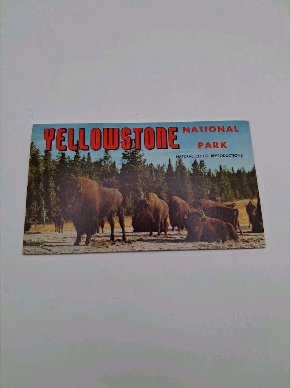 Yellowstone National Park Picturamic Color Photographs With Bio Vtg